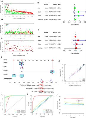 A novel T-cell exhaustion-related feature can accurately predict the prognosis of OC patients